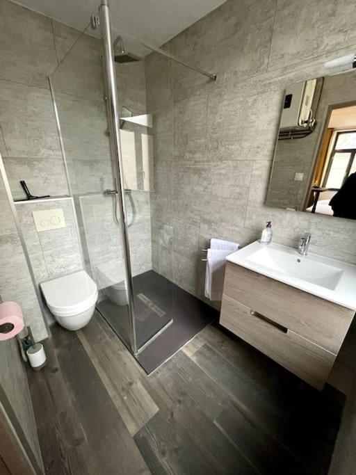Cosy Studio Lumineux Metz Hypercentre Εξωτερικό φωτογραφία